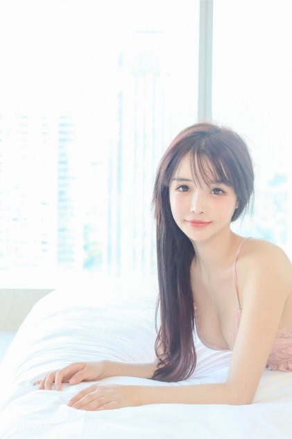 雏菊